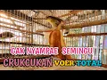 CARA CEPAT MENGEVOERKAN CRUKCUKAN BAHAN