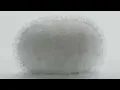 sakanaction / Moth　-Music Video-