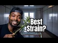 I Tried the Gorilla Glue Cannabis Strain