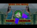 RAWI BEAT-MISS YOU MORE_-_DJ ERWIN BEBAÑO REMIX TAMIS-AC MIXCLUB