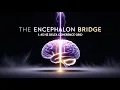 Deep Neural Coherence 1 45 Hz Encephalon Bridge Subconscious Reprocessing
