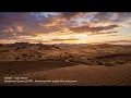 VIVANT - Main Theme | Saxophone Quartet (Digital Wind Instrument)