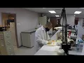 Thousands of cases investigated at Bexar County Crime Lab each year