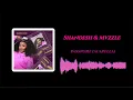 Shandesh & Mvzzle - Passport (Acapella)