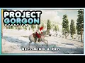 Leveling Up Making Money - Project Gorgon In 2025