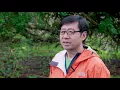 The Art and Science of Forest Bathing with Dr Qing Li