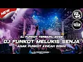 DJ FUNKOT TERBARU 2025 - MELUKIS SENJA ( BUDI DOREMI ) ROCKY RUDAS REMIX