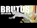 BRUTUS PMV YCH