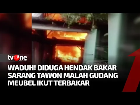 Apes! Niat Bakar Sarang Tawon, Malah Gudang Mebel Ludes Terbakar