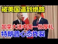 Lagu 被美国逼到绝路，加拿大送中国一份厚礼，特朗普心态炸裂，