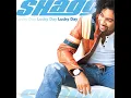 Strength Of A Woman - Shaggy