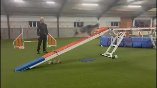                     دندنها