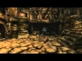 SKYRIM Puzzle Guide - Bleak Falls Temple Snake Puzzle