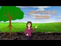 Introduction for nutrient cycle Form 2