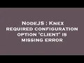 NodeJS Knex required configuration option client is missing error