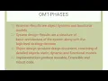 Object oriented methedology-OMT