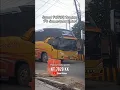 Download Lagu Squad Patas Bontang, Bus Samarinda Lestari Transport #buskalimantan