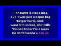Fiona Apple – Paper Bag (karaoke)