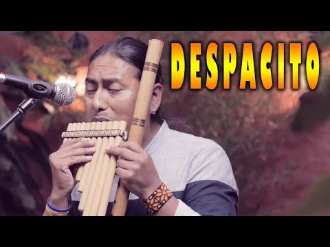 Download MP3 Luis Fonsi - Despacito ft. Daddy Yankee - Flute - Instrumental