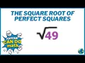 The Square Root Of Perfect Squares