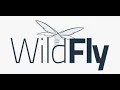 how to install wildfly server on windows 11