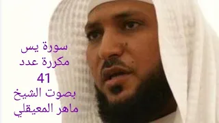 سورة يس مكرره 41 مره بصوت الشيخ ماهر المعيقلي 