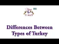 Differences Between Turkeys