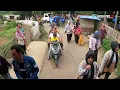 Download Lagu NAYAH - BASAH BASAH | SINGA DANGDUT PUTRA PA\