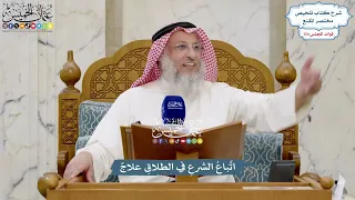 5633 - اتِّباعُ الشرعِ في الطلاقِ علاجٌ - عثمان الخميس