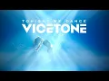 Download Lagu Vicetone - Tonight We Dance (Official Video)