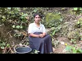 Download Lagu CANTIK PEMBERANI PULUHAN TAHUN TINGGAL DI TENGAH HUTAN YANG DI KELILINGI RUMAH KOSONG