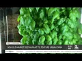 New Old Market restaurant to feature urban farm