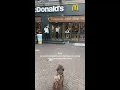 Download Lagu Even wat vooraf op de maag zetten  TT/ nienkevderven