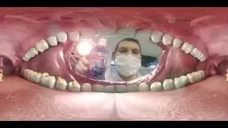 Colgate Experience 360