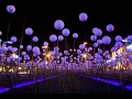 Fritz Kalkbrenner - Grove