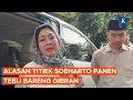 Download Lagu Panen Tebu bersama Gibran, Titiek Soeharto: Senang Jalan Bareng Mas Wapres