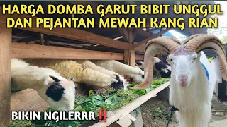 prices for superior garut sheep and luxury stabies at kang rians cage