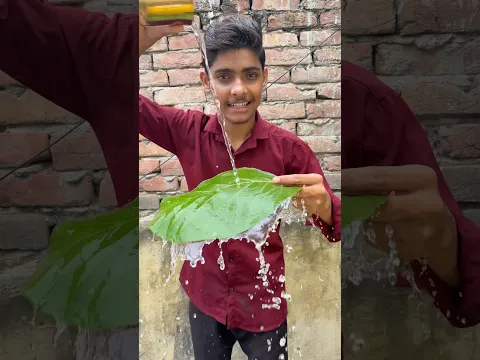 Leaf Se Bana Diye Mahadev 🔱😱”#Mahadev #leafart #savanspecial