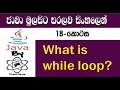 Java Sinhala By ChamiViews Part 18 - While Loop