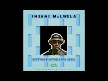 INSANE MALWELA - SEPTEMBER BIRTHDAY MIX 2026 | Shimza | THEMBA| lordkez