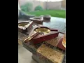Wood cigar ash tray build DIY