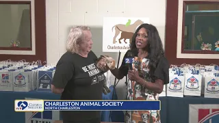 Clear the Shelters Carolyn Murray live at Charleston Animal Society