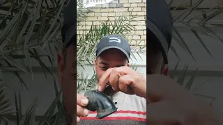 احداسباب الخمده 