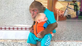 CUTIS Comforted BUEM While They Waited for Their Hardworking Dad
