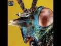 Nova - YOTTO