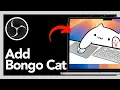 How To Add Bongo Cat Overlay To OBS - Full Guide