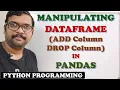 MANIPULATING DATAFRAME IN PANDAS ADD COLUMN DROP COLUMN DATAFRAME MANIPULATIONS
