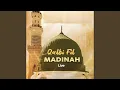 Download Lagu Qalbi Fil Madinah (Live)