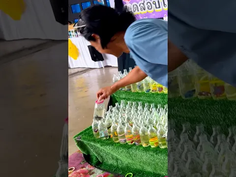 Catch Candy Betta Fish and get it for free❤️😜#fish #bettafish #candybetta #betta #thailand #shorts