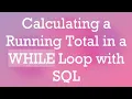 Calculating a Running Total in a WHILE Loop with SQL